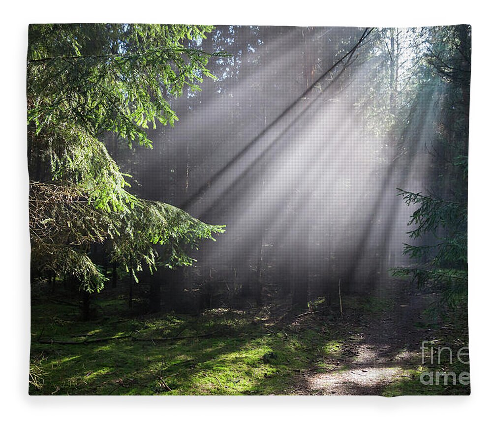 Forest Fleece Blanket featuring the photograph Rays of light in the forest 3 by Adriana Mueller
