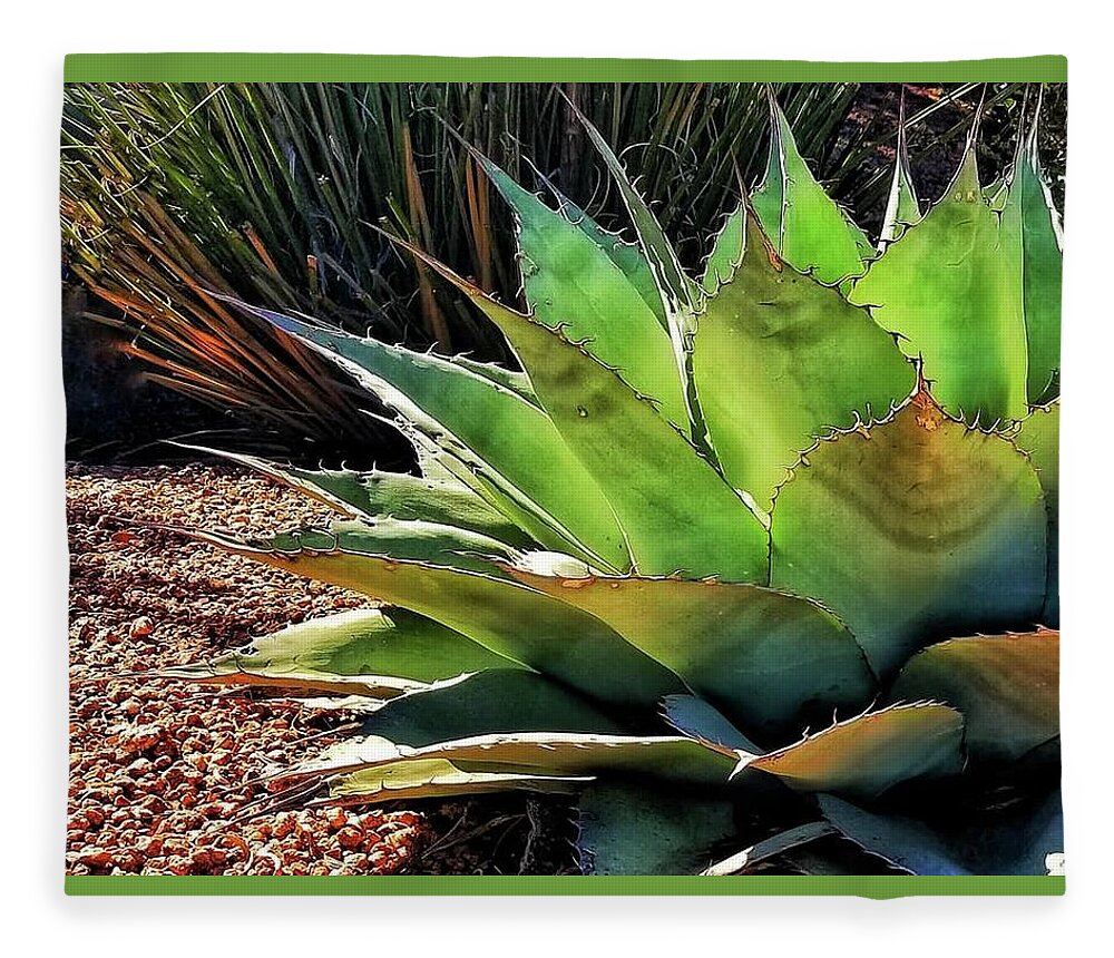 Agave Fleece Blanket featuring the photograph Reaching by Terry Ann Morris
