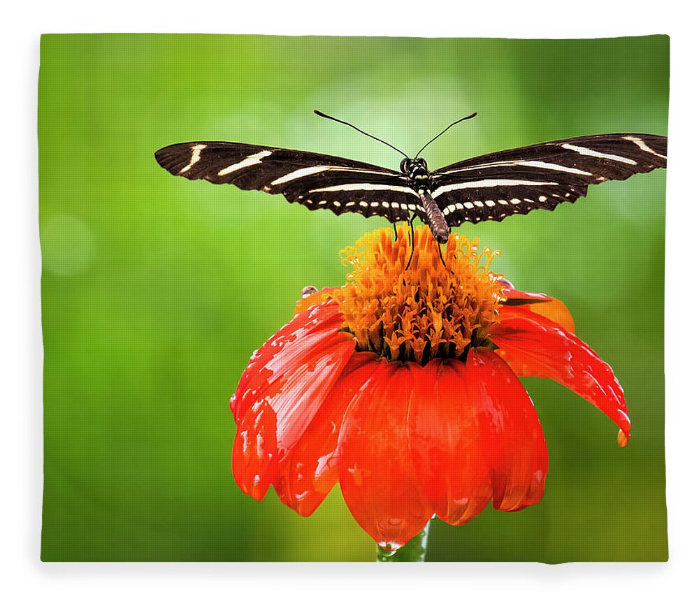 Butterfly Fleece Blanket featuring the photograph Ready For Takeoff by Ginger Stein