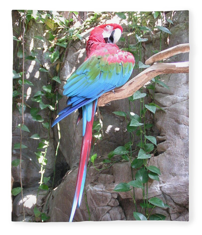 Taken At The Audubon Zoo In New Orleans Fleece Blanket featuring the photograph Red and Green Macaw by Heather E Harman