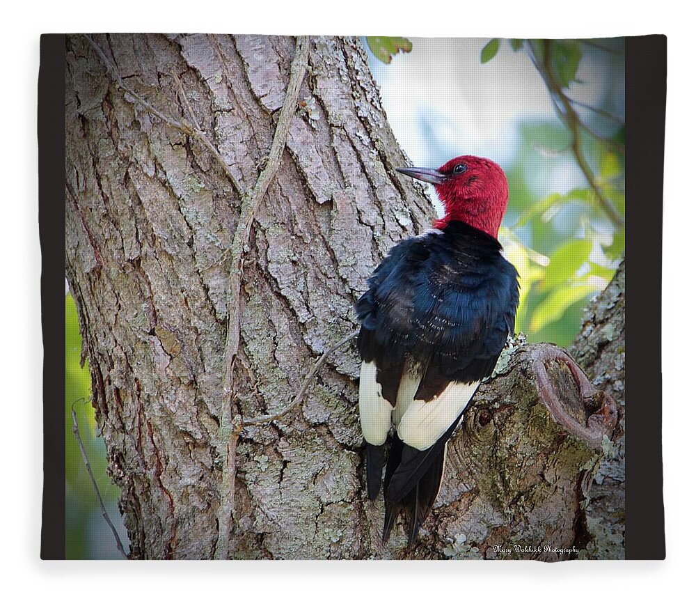 Woodpecker Fleece Blanket featuring the photograph Red Headed Woodpecker by Mary Walchuck