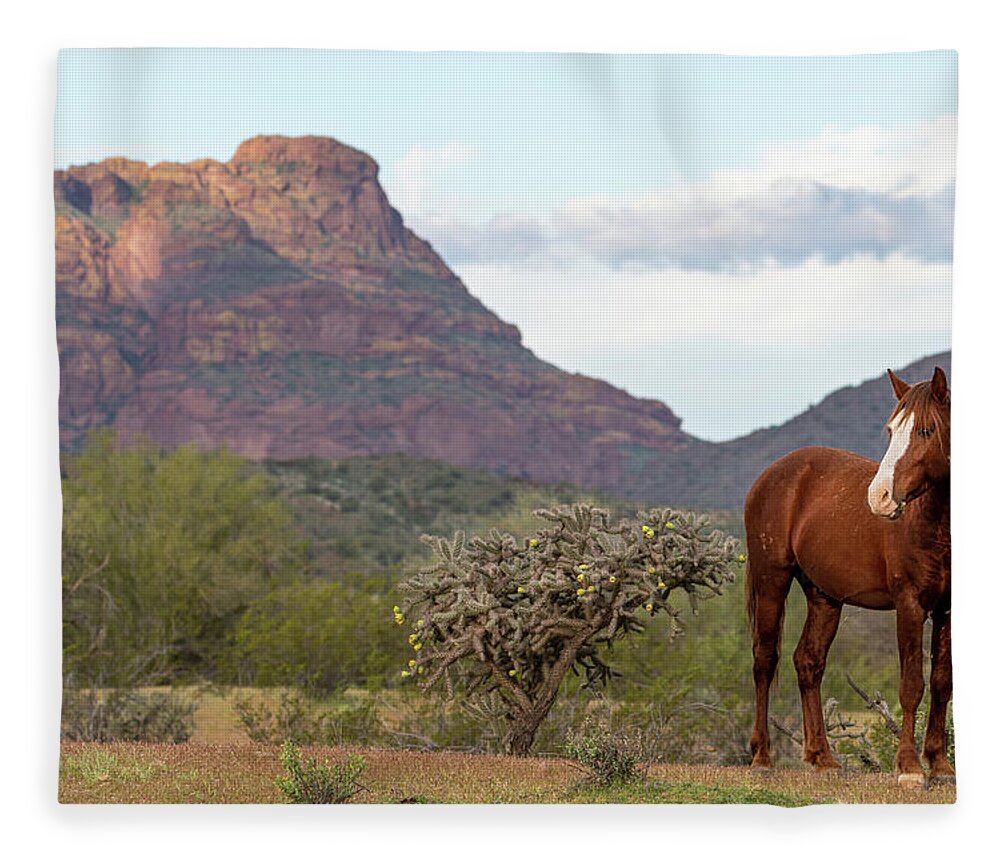 Wild Horses Fleece Blanket featuring the photograph Red Horse, and Red Mountain by Mary Hone