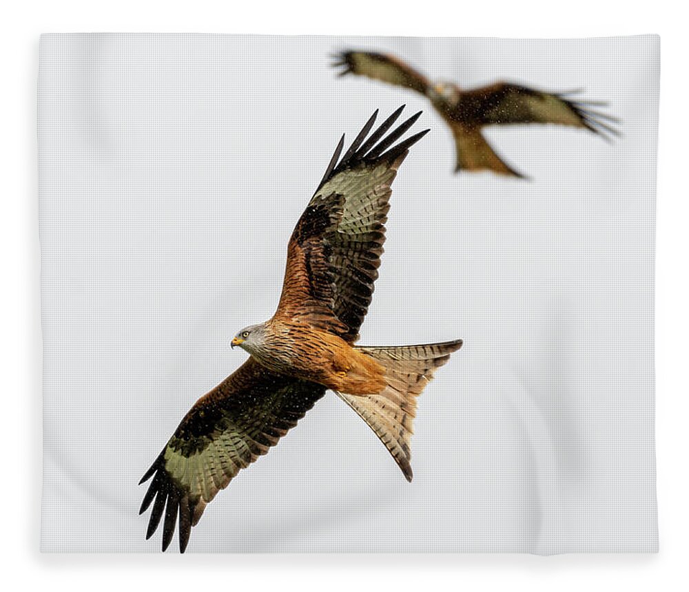 Red Kite Fleece Blanket featuring the photograph Red Kite turning by Mark Hunter