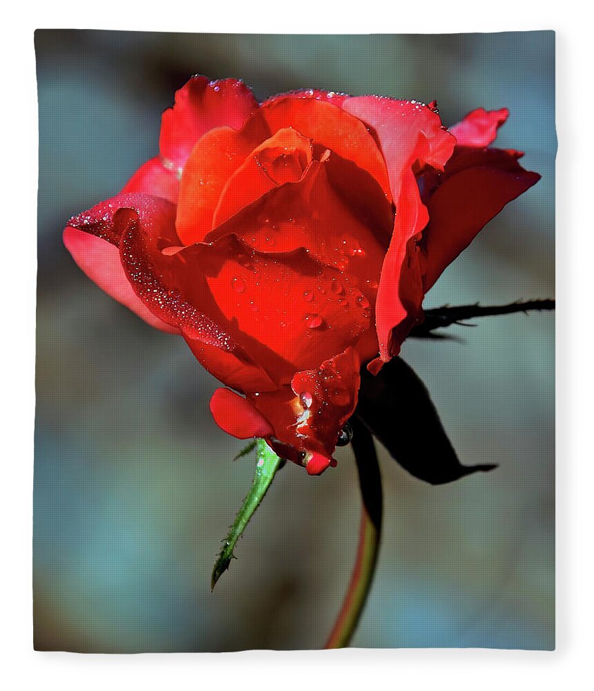 Nature Fleece Blanket featuring the photograph Red Rain by Gina Fitzhugh