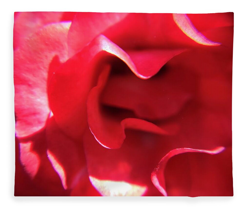 Red Rose Fleece Blanket featuring the photograph Red Rose by Vivian Aumond