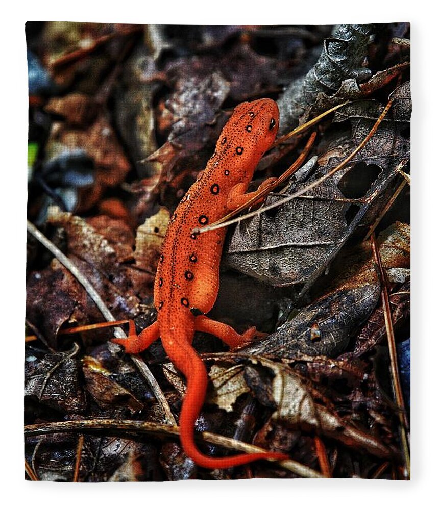 Photo Fleece Blanket featuring the photograph Red Spotted Newt by Evan Foster