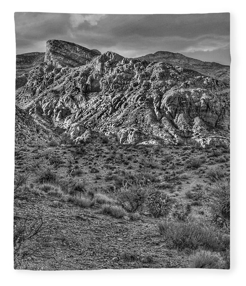  Fleece Blanket featuring the photograph Red Springs Dream 1 by Rodney Lee Williams