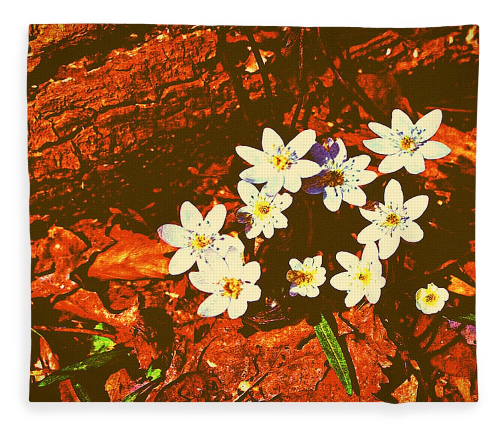 Anemones Fleece Blanket featuring the photograph First Wood Anemones of Spring by Stacie Siemsen
