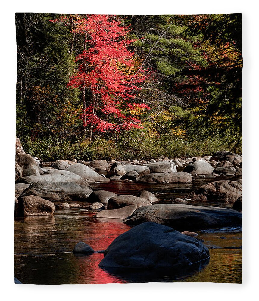 Autumn Fleece Blanket featuring the photograph Red Tree Reflections by Craig A Walker