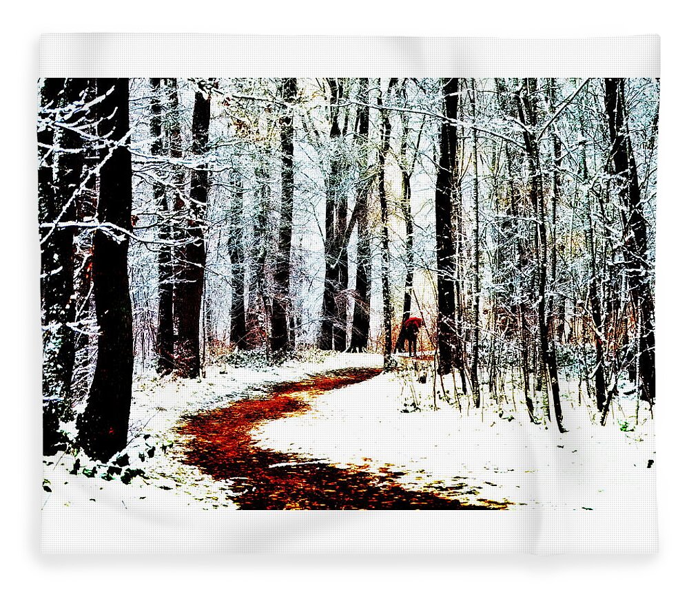 Umbrella Fleece Blanket featuring the photograph Red umbrella in the forest by Chris Bee