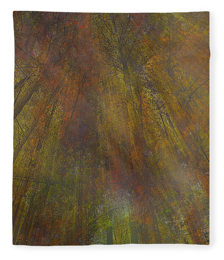 Forest Fleece Blanket featuring the photograph Red Weir by Cynthia Dickinson