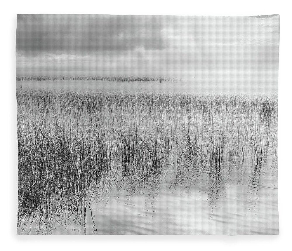 Black And White Photography Fleece Blanket featuring the photograph Reeds Along the Shore by Allan Van Gasbeck