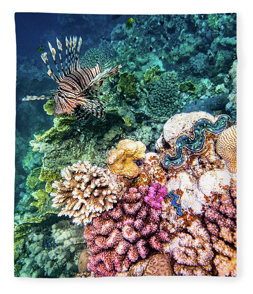 Reef Fleece Blanket featuring the photograph Reef by Francesco Riccardo Iacomino