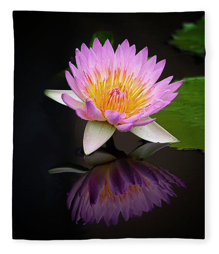Floral Fleece Blanket featuring the photograph Reflecting. by Usha Peddamatham
