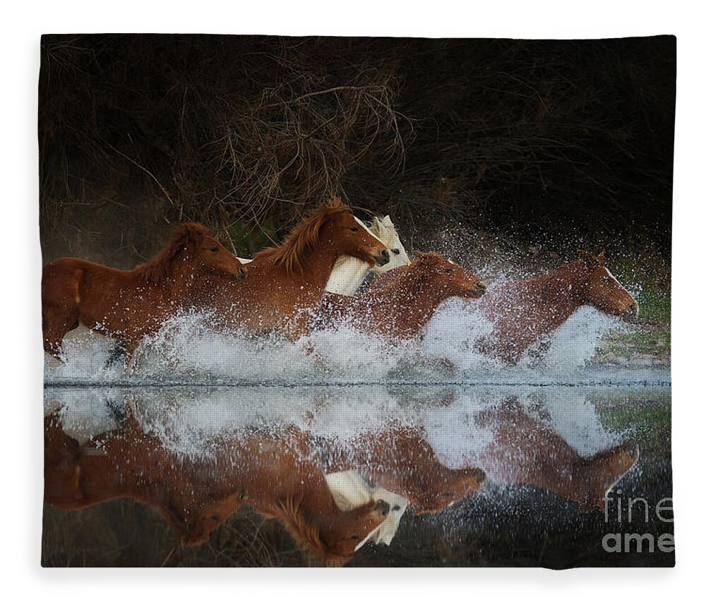 Salt River Wild Horses Fleece Blanket featuring the photograph Reflection by Shannon Hastings