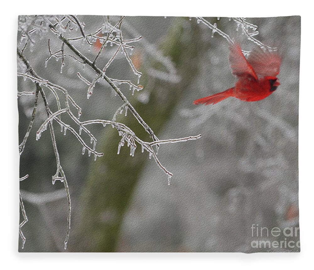 Bird Fleece Blanket featuring the digital art Released To Soar by Constance Woods
