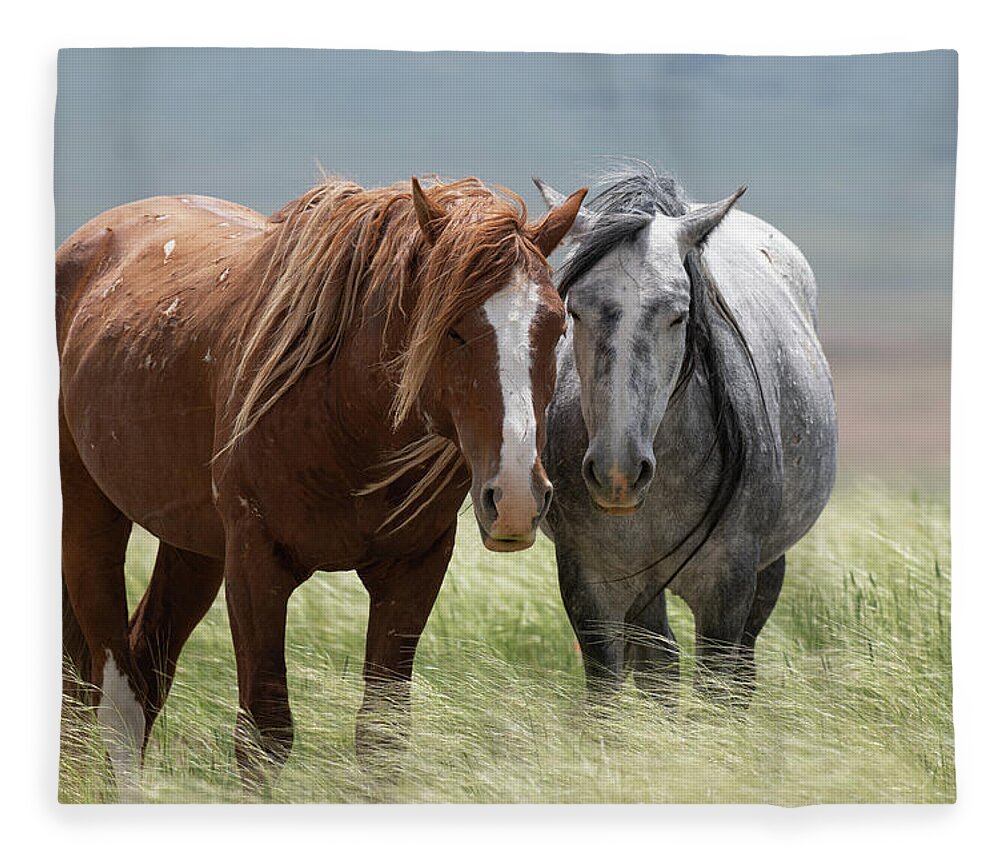 Wild Horses Fleece Blanket featuring the photograph Resting Together by Mary Hone