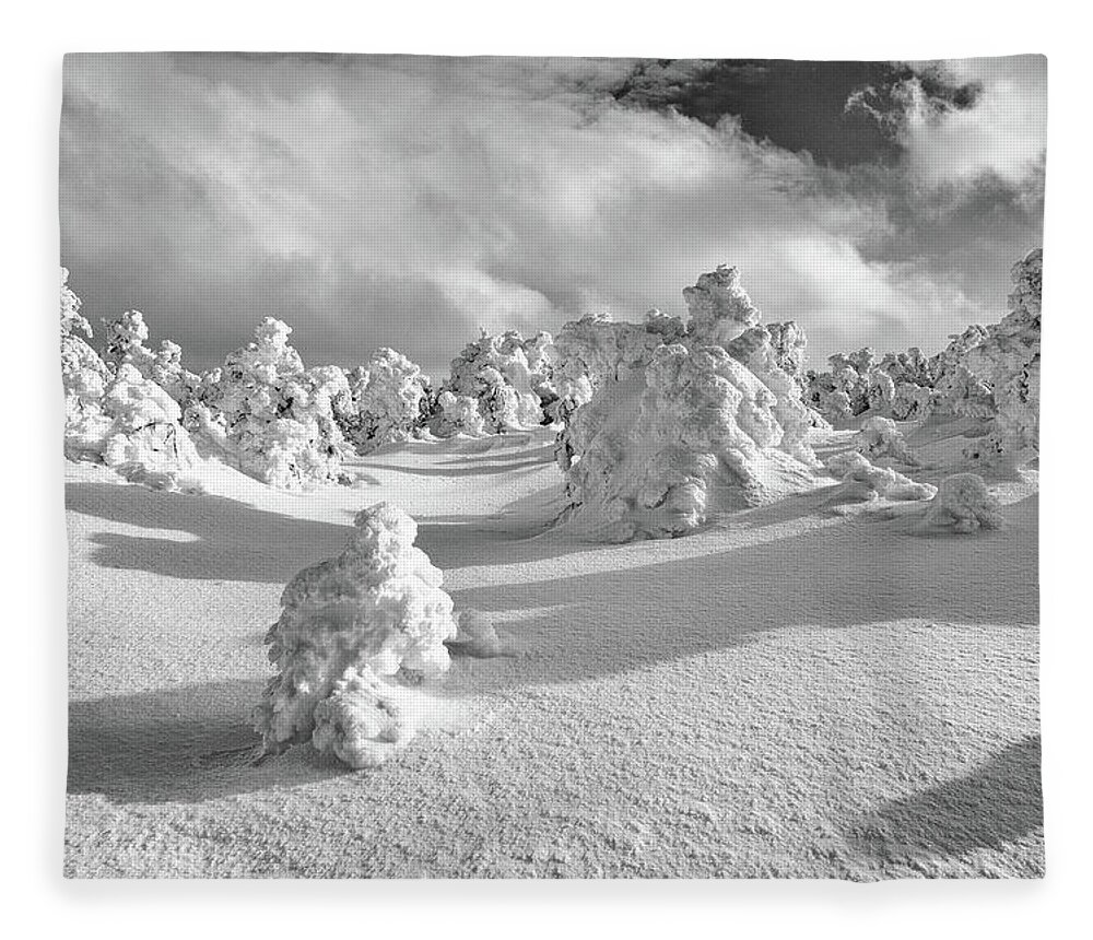New Hampshire Fleece Blanket featuring the photograph Rime Forest by Jeff Sinon