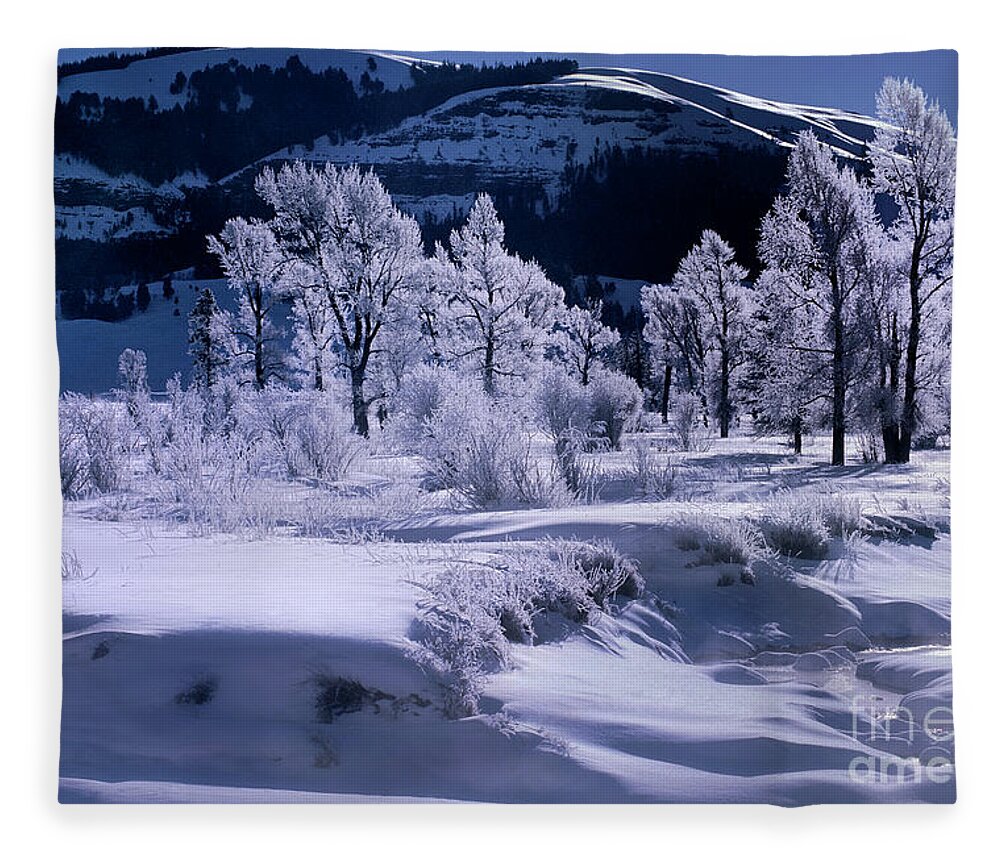 Dave Welling Fleece Blanket featuring the photograph Rime Ice On Trees Lamar Valley Yellowstone National Park by Dave Welling