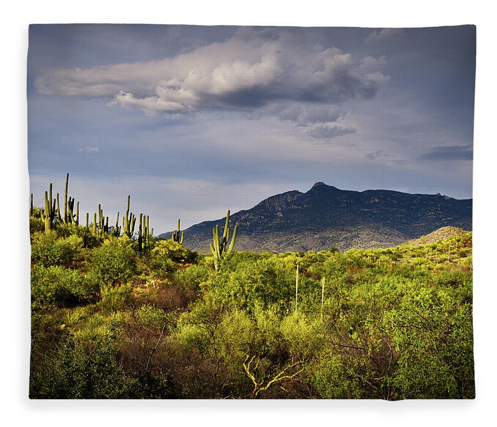Rincon Peak Fleece Blanket featuring the photograph Rincon Peak and Saguaro Cactus Sunset Light, Tucson AZ by Chance Kafka
