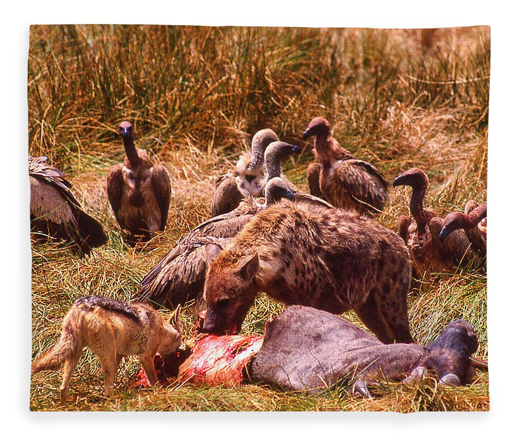 Africa Fleece Blanket featuring the photograph Rest In Peace Life Goes On in Africa by Russ Considine