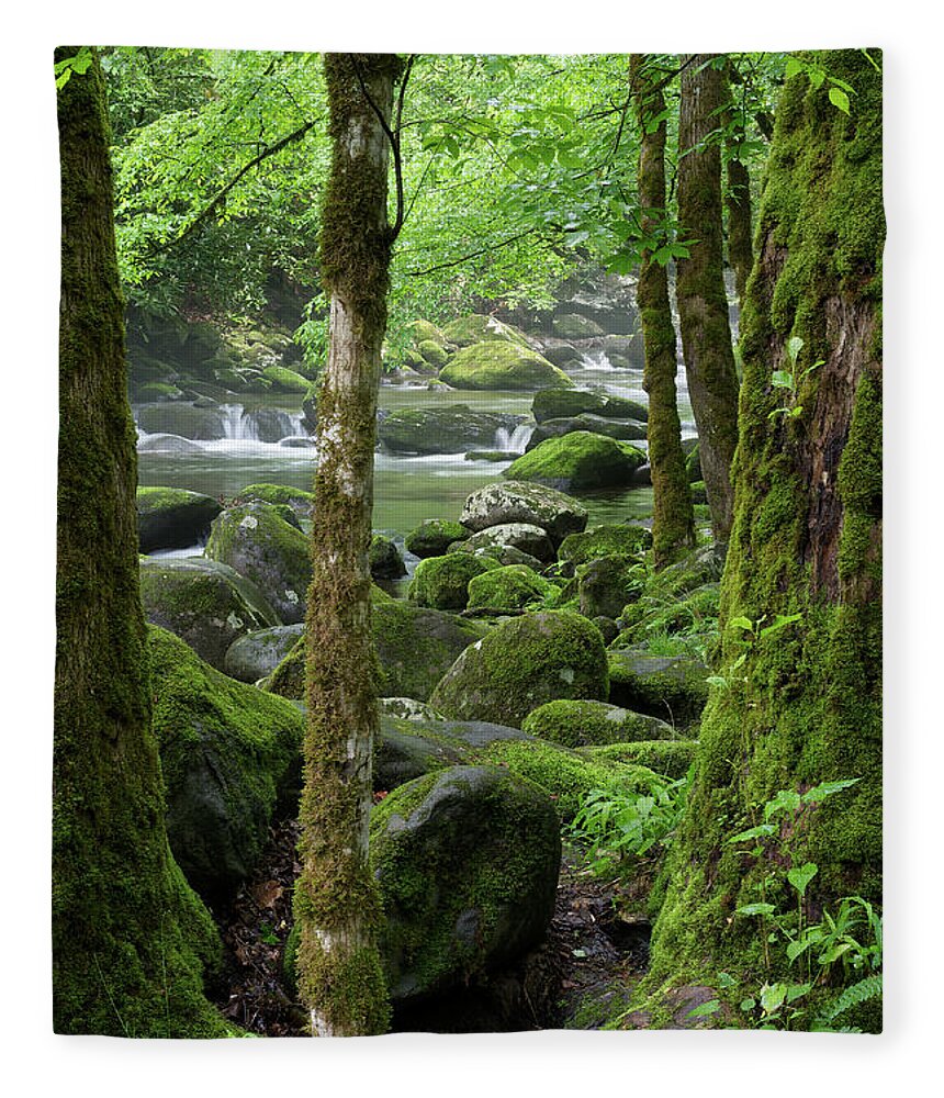 Moss Fleece Blanket featuring the photograph Riverside Moss 2 by Phil Perkins