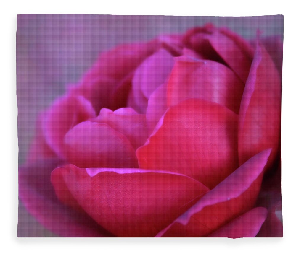 Rose Fleece Blanket featuring the photograph Romancing the Rose by Sally Bauer