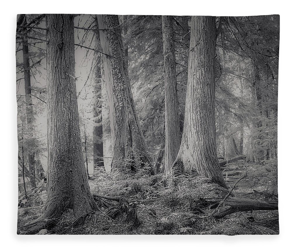 Roosevelt Grove Fleece Blanket featuring the photograph Roosevelt Grove by Dan Eskelson