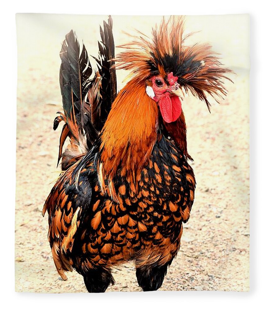 Rooster Fleece Blanket featuring the photograph Rooster Photo 136 by Lucie Dumas