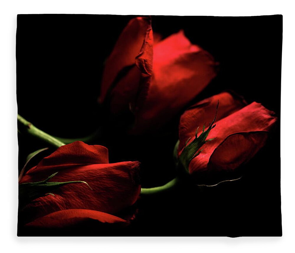 Macro Fleece Blanket featuring the photograph Rose 8809 by Julie Powell