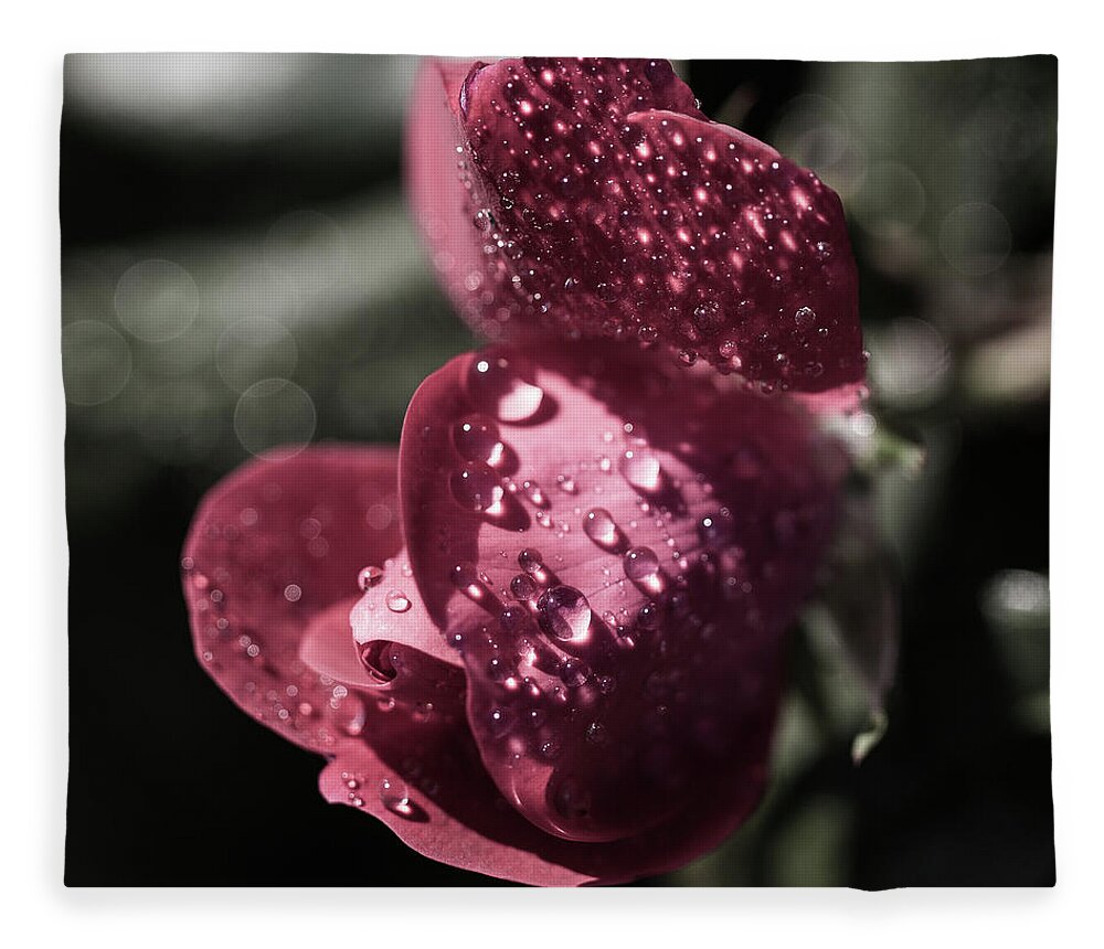 Flower Fleece Blanket featuring the photograph Rose by David Beechum
