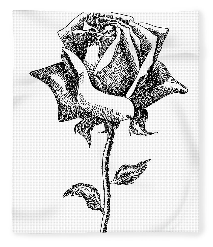 Rose Fleece Blanket featuring the drawing Rose Drawings Black-White 5 by Gordon Punt