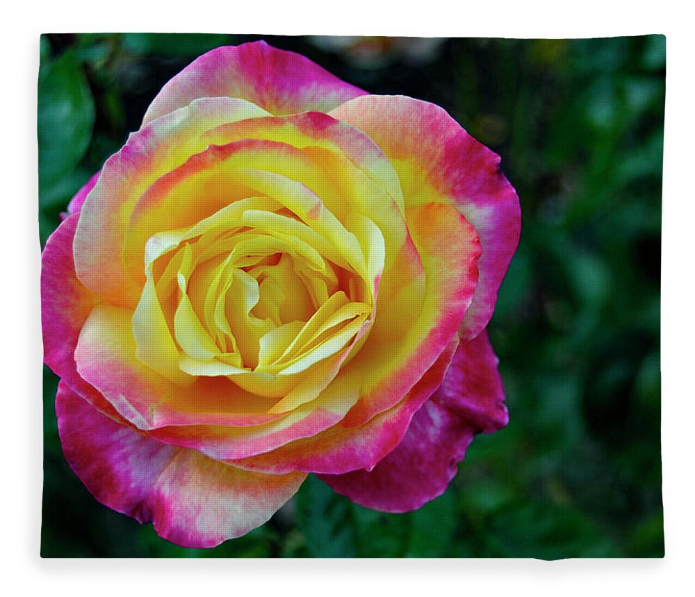 White Fleece Blanket featuring the photograph Rose by Pelo Blanco Photo