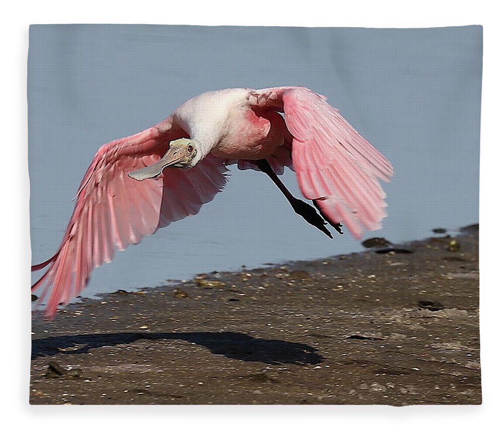 Roseate Spoonbill Fleece Blanket featuring the photograph Roseate Spoonbill 8 by Mingming Jiang