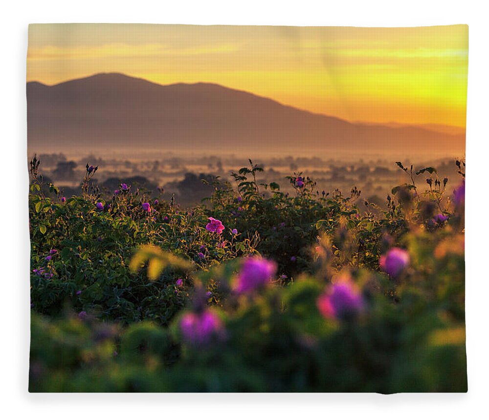 Bulgaria Fleece Blanket featuring the photograph Roses Valley by Evgeni Dinev
