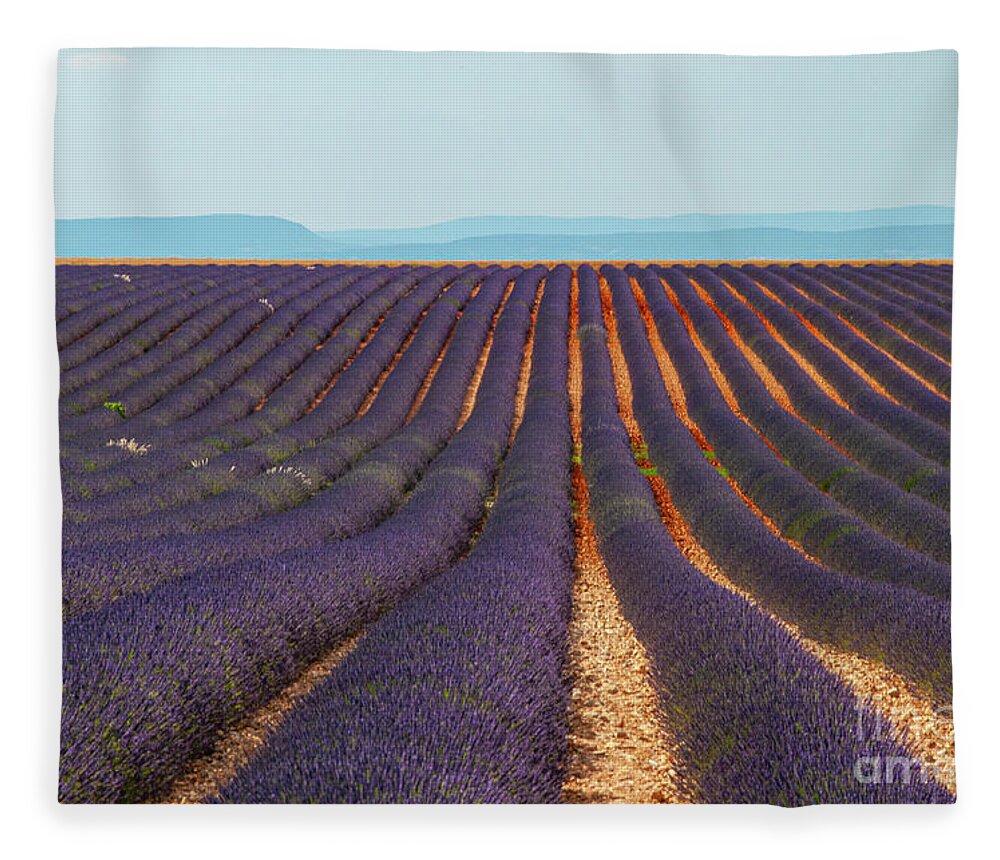 Provence Fleece Blanket featuring the photograph Rows and Rows of Lavender in Saignon by Bob Phillips