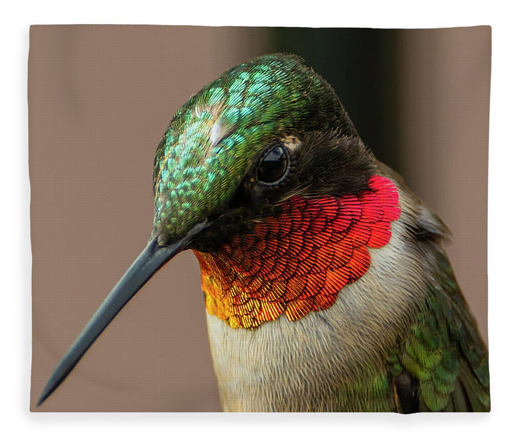 Ruby Throated Hummingbird Fleece Blanket featuring the photograph Ruby Throated Hummingbird by Sandra J's