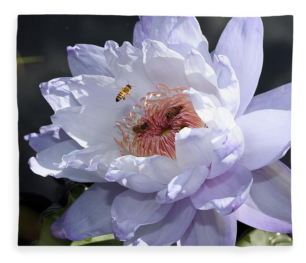 Water Lily Fleece Blanket featuring the photograph Ruffled Water Lily by Mingming Jiang