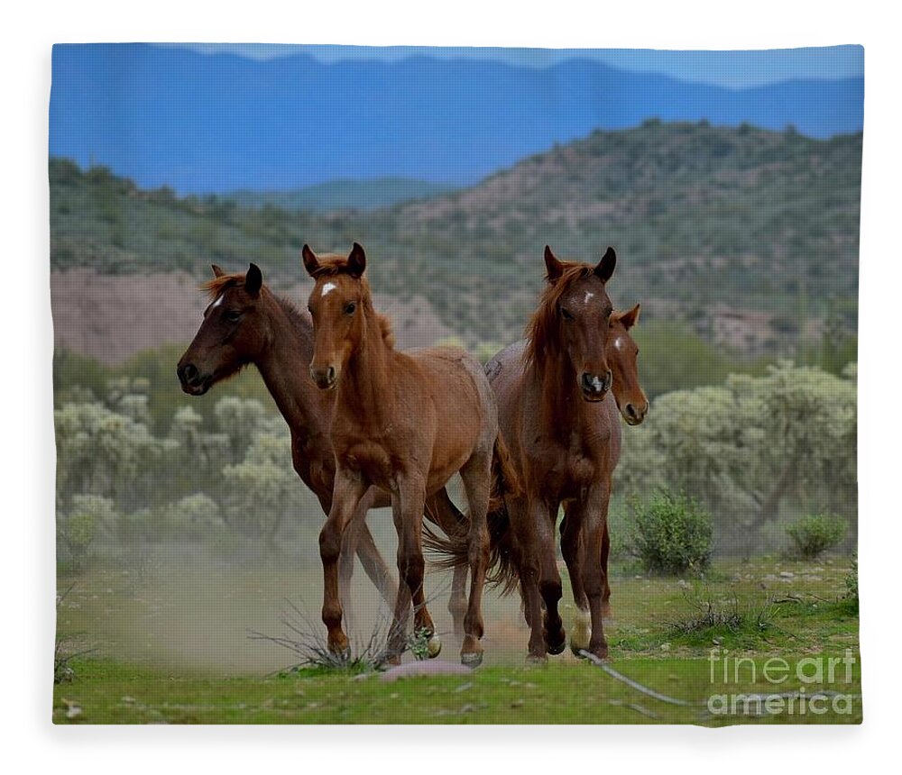 Salt River Wild Horse Fleece Blanket featuring the digital art Running Wild and Free by Tammy Keyes