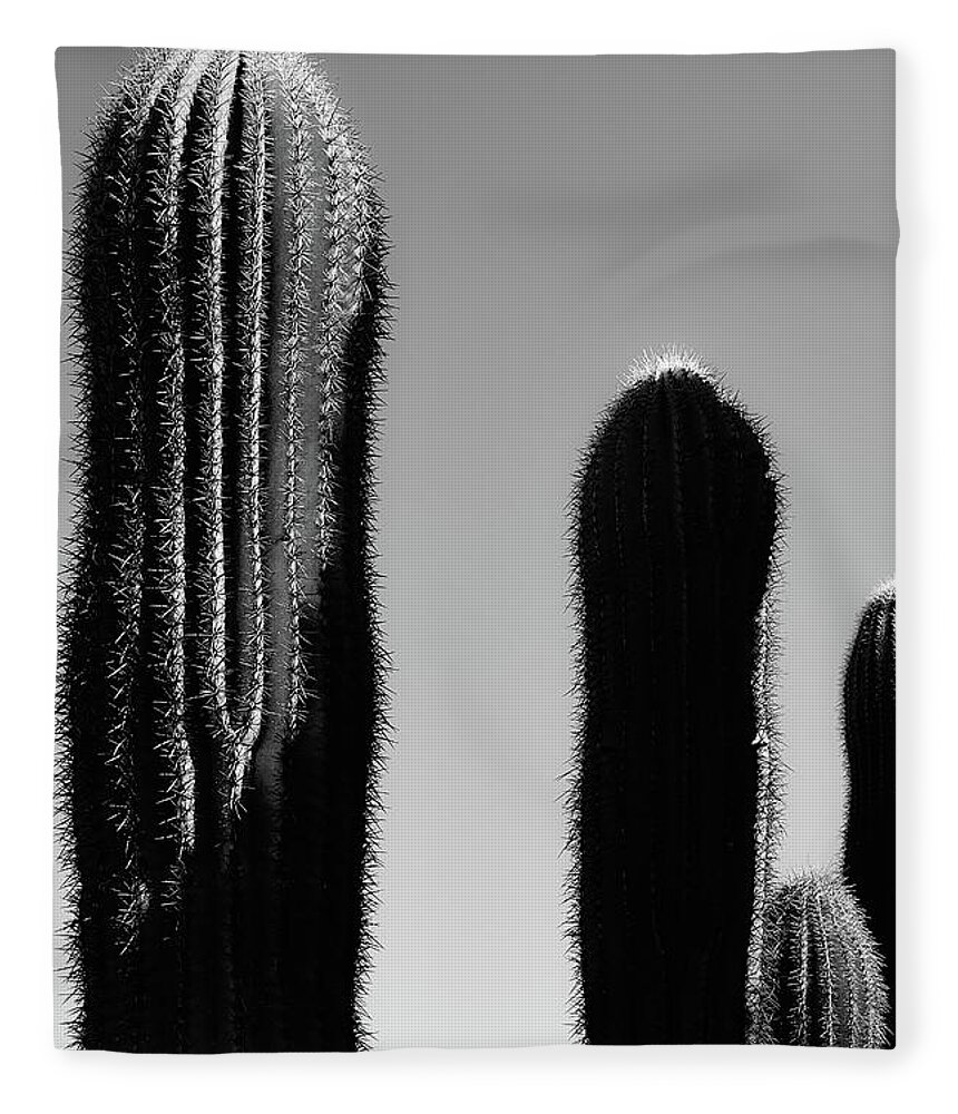 10-52 Feet Tall Fleece Blanket featuring the photograph Saguaro Stand Silhouette BW  by Jennifer Wright