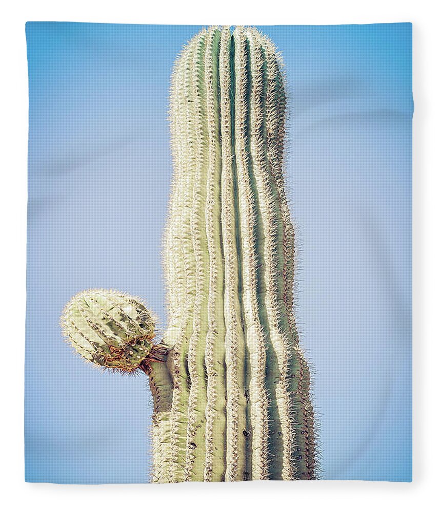 Atmospheric Fleece Blanket featuring the photograph Saguaro with Starter Arm by Jennifer Wright