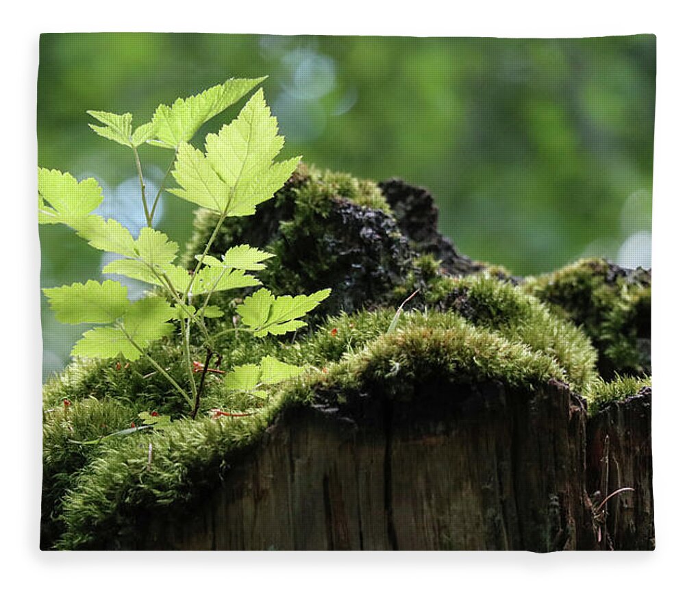 Green Leaf Fleece Blanket featuring the photograph Salmonberry Bush Start Up by D Lee