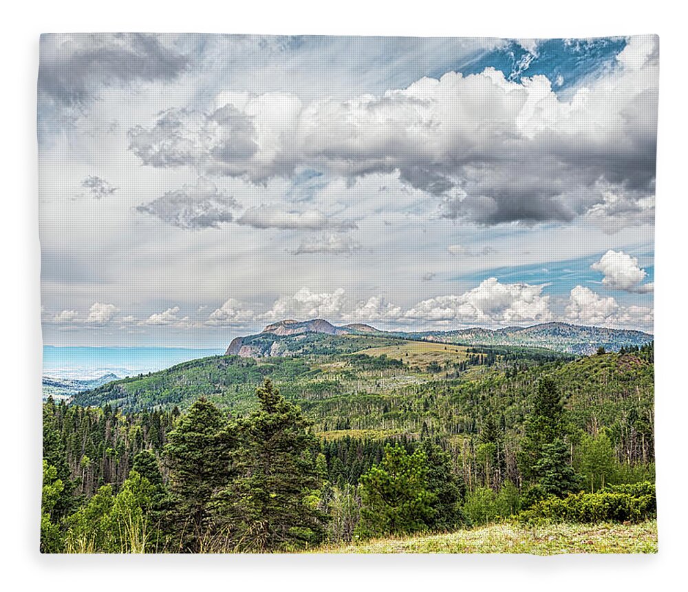 Landscape Fleece Blanket featuring the photograph San Juan Mountains New Mexico by Debra Martz