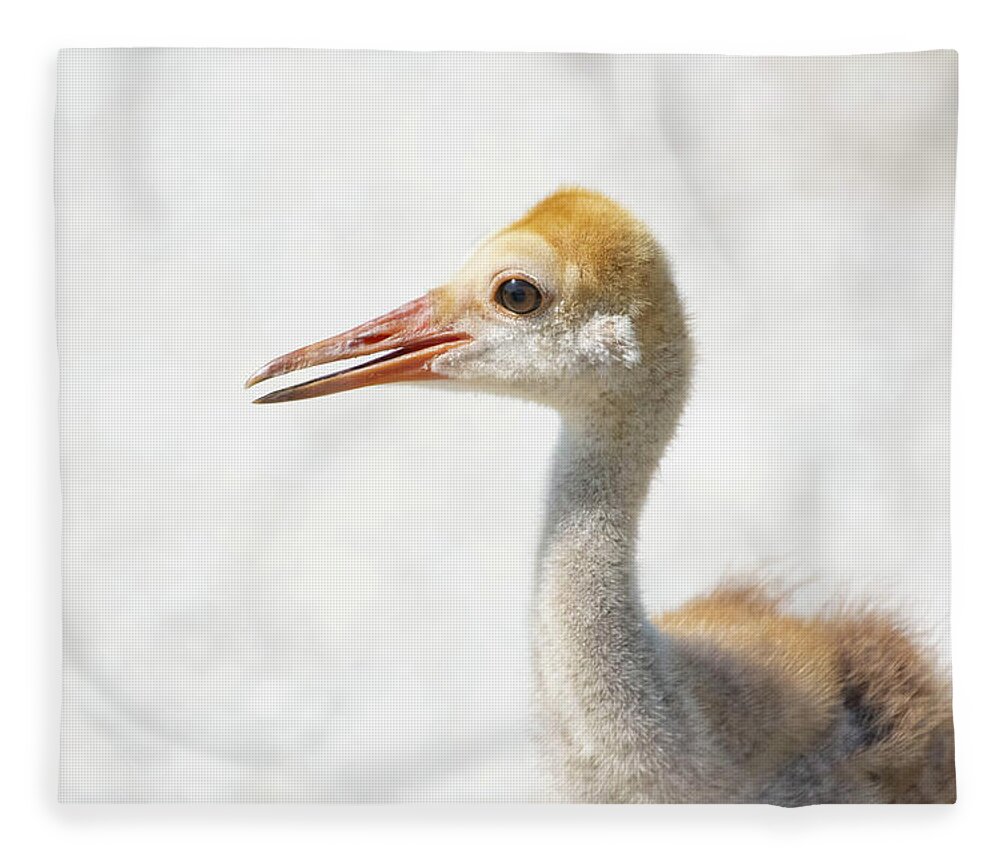 Sandhill Crane Fleece Blanket featuring the photograph Sandhill Crane Baby by Rebecca Herranen
