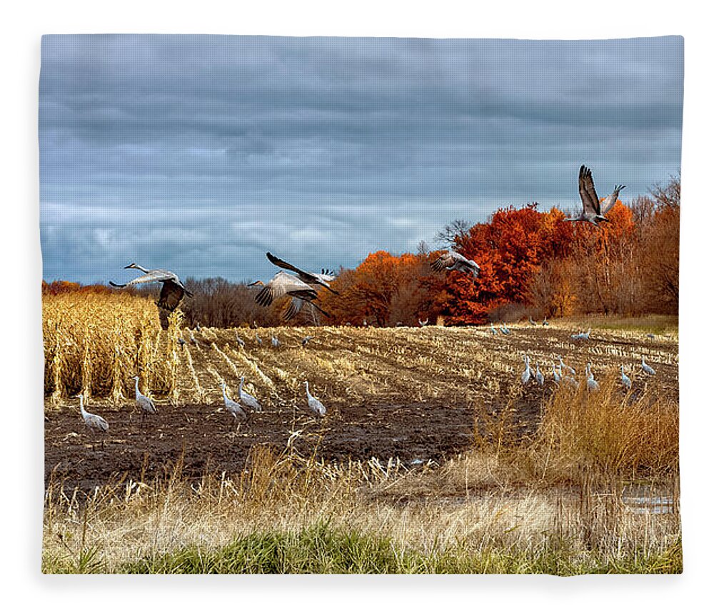Sandhill Fleece Blanket featuring the photograph Sandhill Cranes feeding by Al Mueller