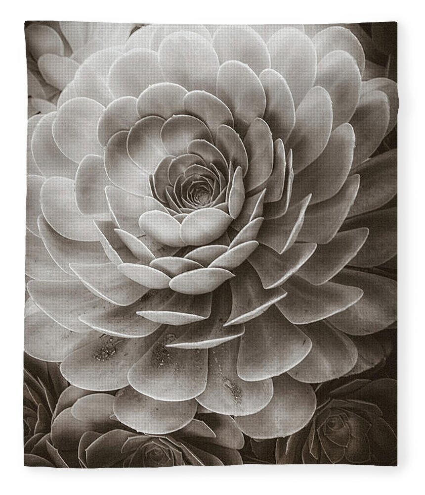 Soft Fleece Blanket featuring the photograph Santa Barbara Succulent#20 by Jennifer Wright