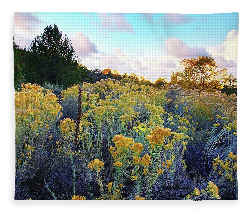 Santa Fe Fleece Blanket featuring the photograph Santa Fe Magic by Stephen Anderson