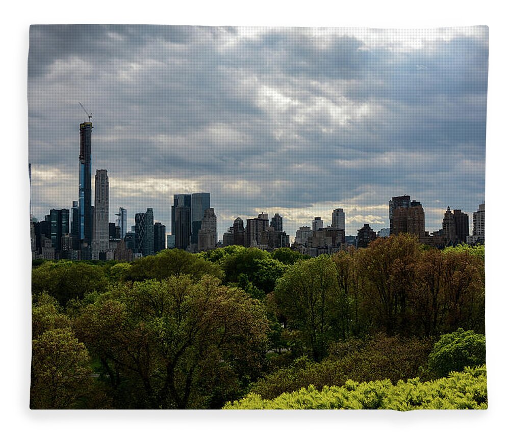 Central Park Fleece Blanket featuring the photograph Savoring Simplicity - Central Park, New York City by Earth And Spirit