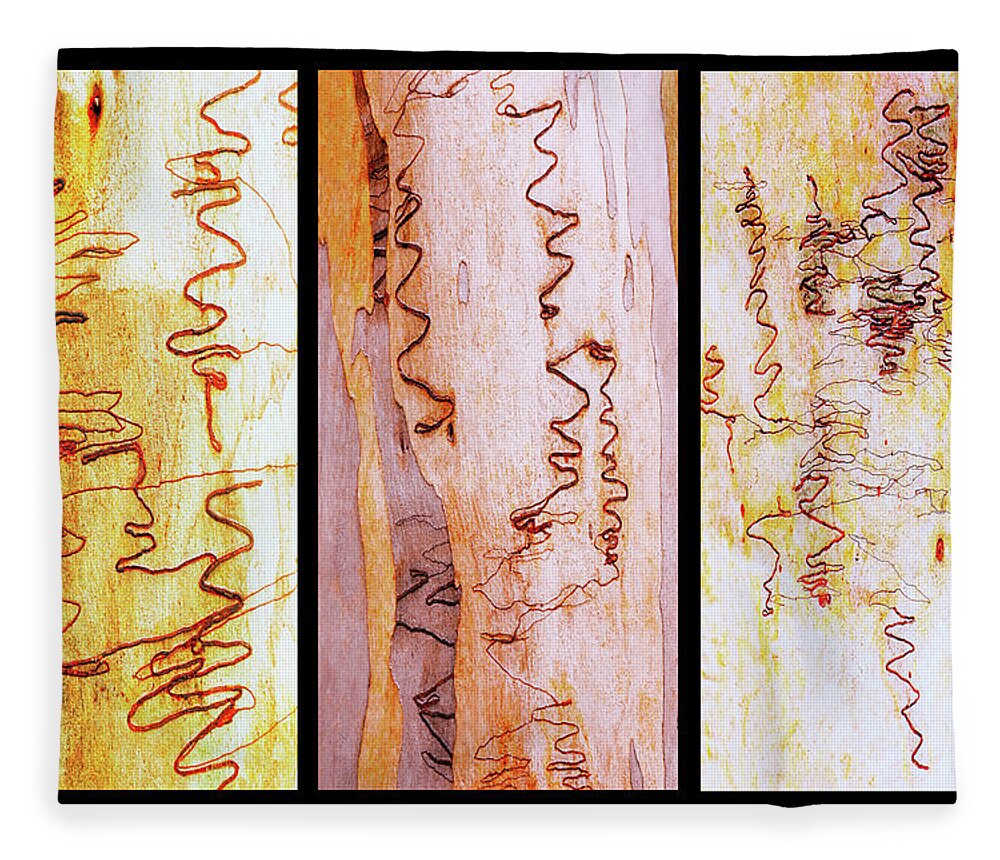 Tree Bark Fleece Blanket featuring the photograph Scribbly Gum Triptych by Lexa Harpell