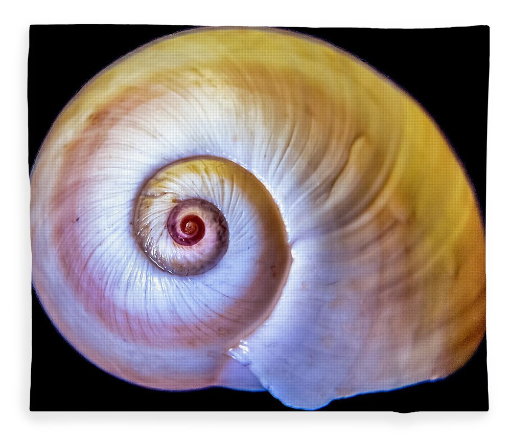 Seashell Fleece Blanket featuring the photograph Sea Shell by WAZgriffin Digital